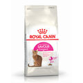 Royal Canin Adult Exigent Savour pienso para gatos, , large image number null